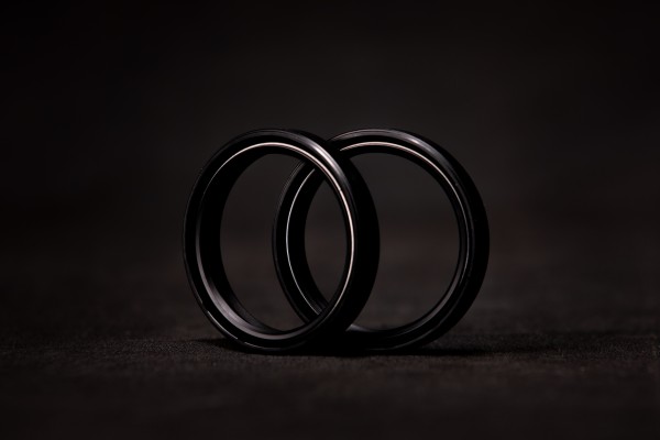 STARK VARG Gabelöldichtung