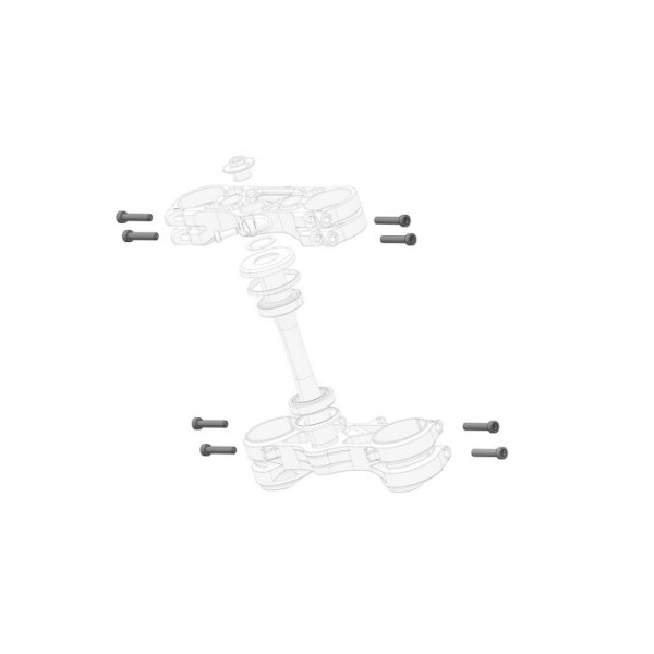 STARK VARG Bolzen Schraube der Gabelbrücke