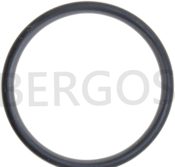 O-Ring f. Kupplungsnehmerzylinder