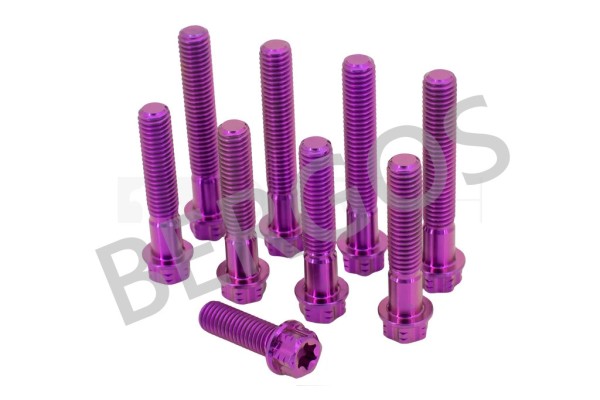 Titan Schrauben Gabelbrücke Husqvarna 701 / KTM 690 - Torx